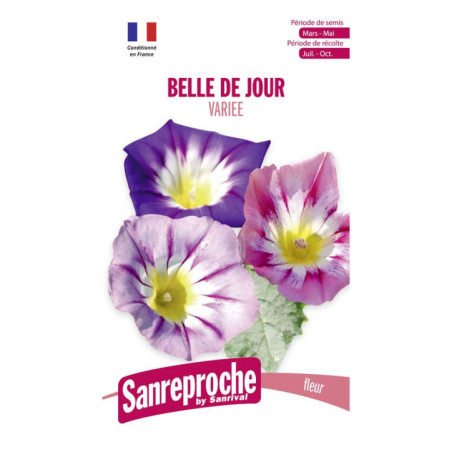 Belle de jour variee