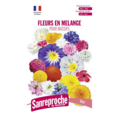 Fleurs en mel pour massifs