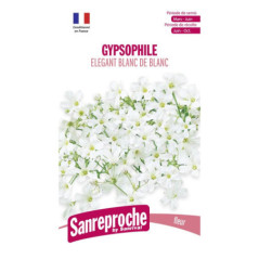 Gypsophile elegant blc de blc
