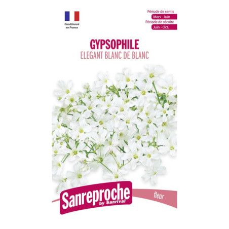 Gypsophile elegant blc de blc