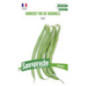 Haricot nain fin de bagnols