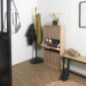 Meuble a chaussure 3 portes klau