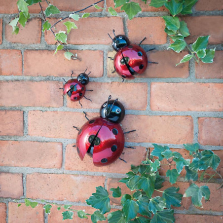 Insecte deco murale x3 - 3ass