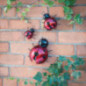Insecte deco murale x3 - 3ass