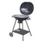 Barbecue a charbon ovale