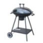 Barbecue a charbon ovale