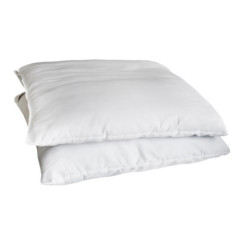 Lot 2 oreillers 60x60cm