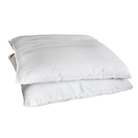 Lot 2 oreillers 60x60cm