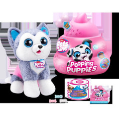 Pets alive petit chiot