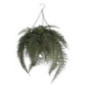 Suspension boule fougere