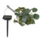 Guirlande solaire eucalyptus
