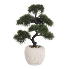 Grand bonsai