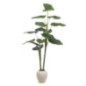 Grande plante h150cm