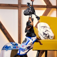 Jouet chien corde star wars