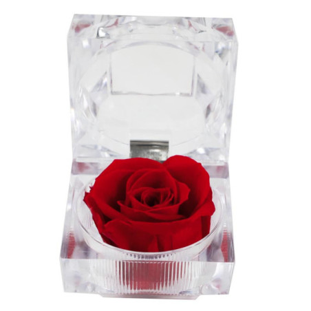 Rose eternelle dans son ecrin