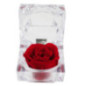 Rose eternelle dans son ecrin
