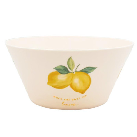 Saladier plastique d26cm citron
