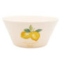 Saladier plastique d26cm citron