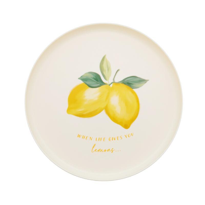 Assiette plastique avec bord d26