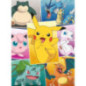 Puzzle types pokemon 250p