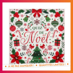 Dessous plat quiz de noel x6
