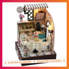 Maison miniature a construire