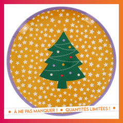 Assiette melamine 25cm - 6 ass