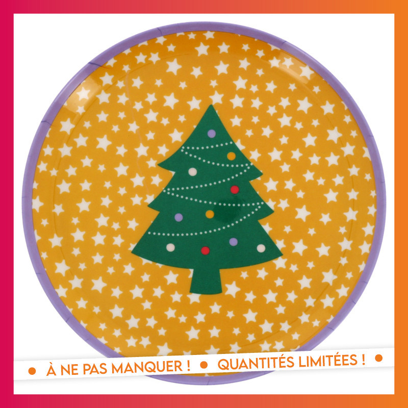 Assiette melamine 25cm - 6 ass