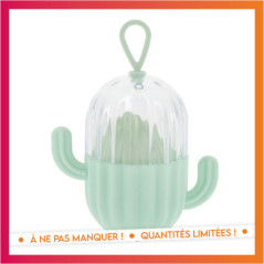 Set eponge et boite cactus