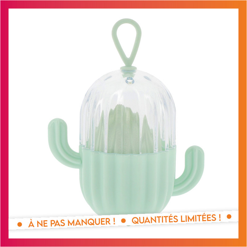 Set eponge et boite cactus