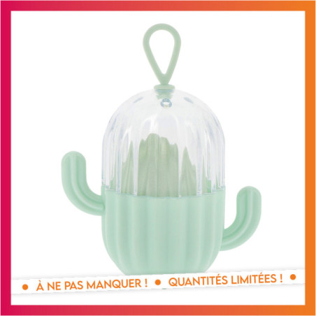Set eponge et boite cactus