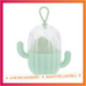 Set eponge et boite cactus