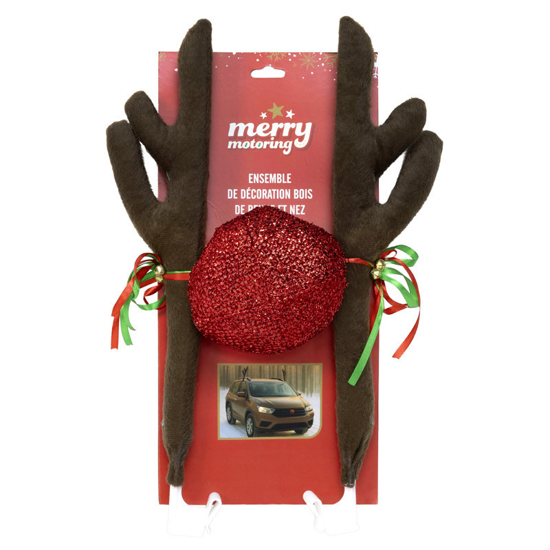 Decoration auto renne