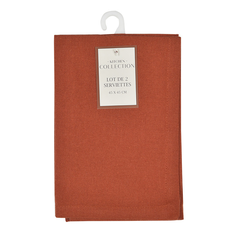 Lot x2 serviettes earth 45x45cm