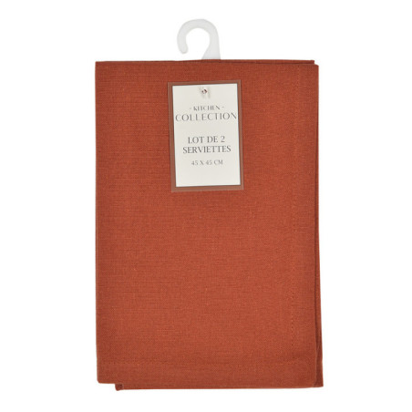 Lot x2 serviettes earth 45x45cm