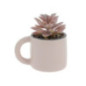 Succulente pot mug colore