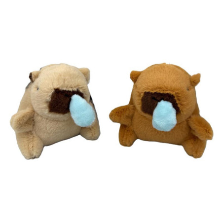 Capybara goutte au nez