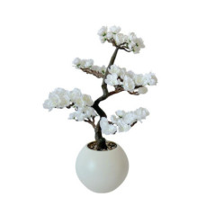 Bonsai fleuri dans pot blanc