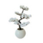 Bonsai fleuri dans pot blanc