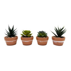 Succulente pot terracota