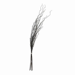 Bouquet 5 tiges tortueuses