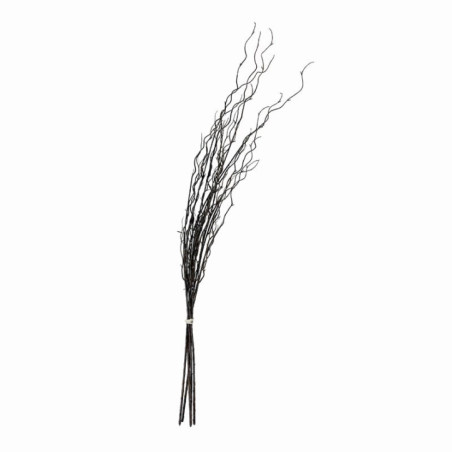 Bouquet 5 tiges tortueuses