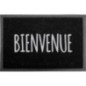 Tapis imp 40x60cm pvc bienvenue