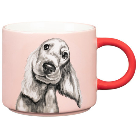 Mug-chien et message