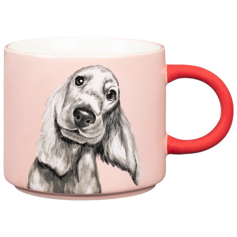 Mug-chien et message