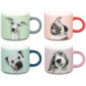 Mug-chien et message