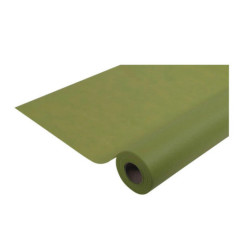 Nappe indechirable 1.20mx6m vert