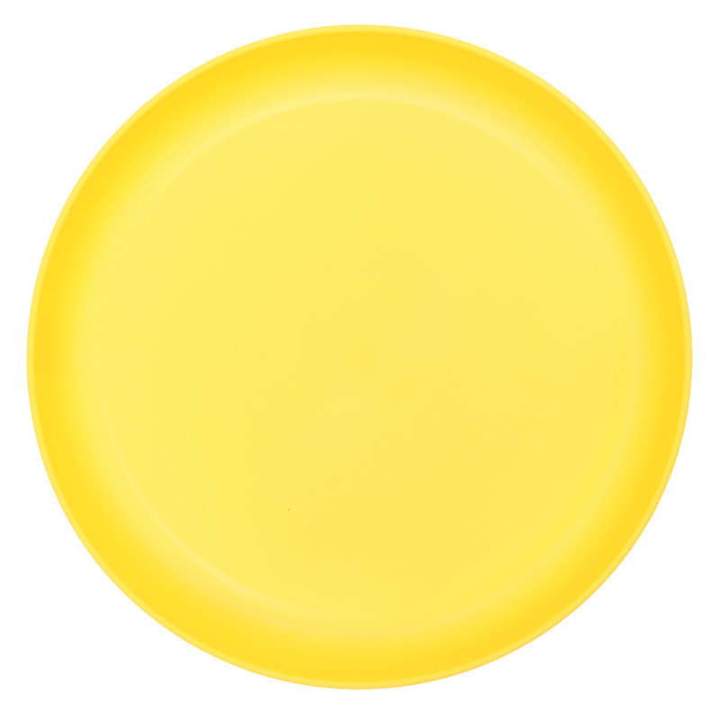 Assiette plastique strie 25cm