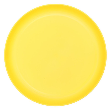 Assiette plastique strie 25cm