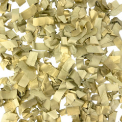 Canon a confettis 20cm papier